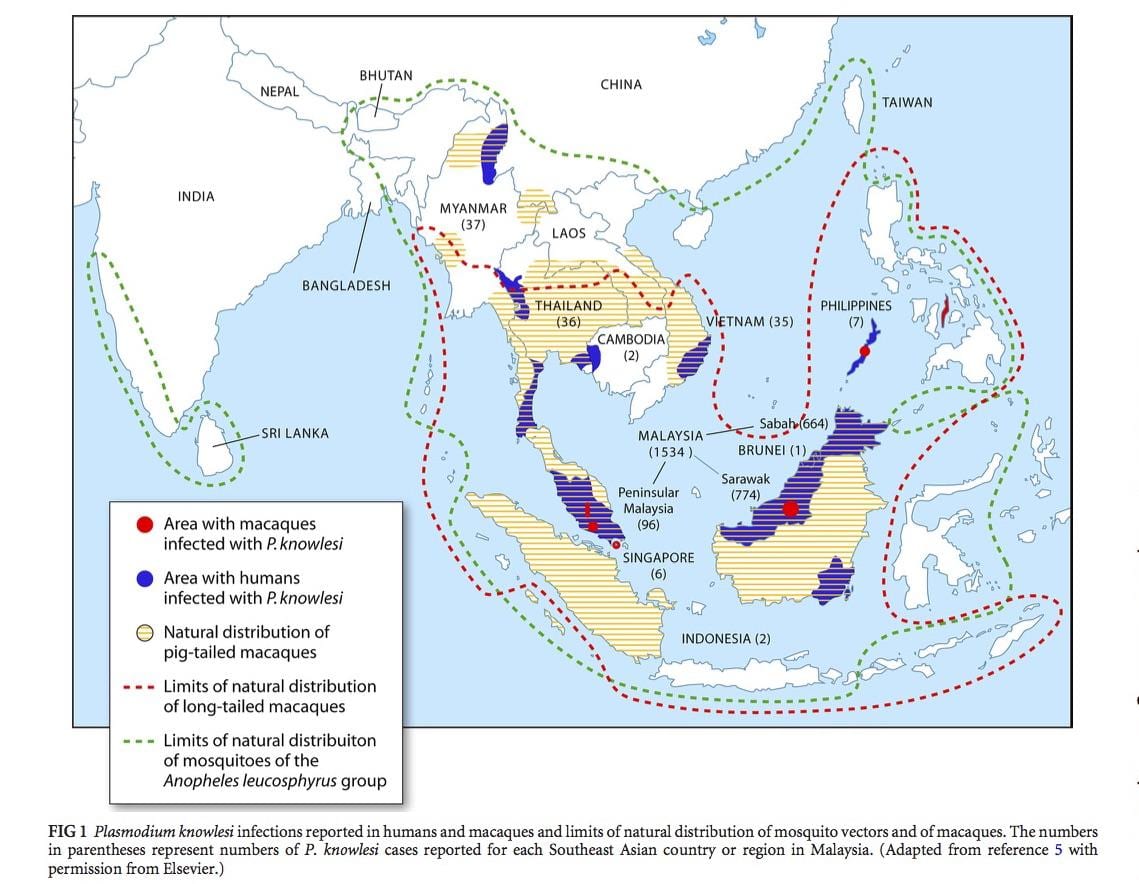 mapa malaysia malaria