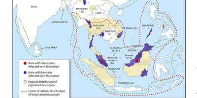Mapa malaysia malaria